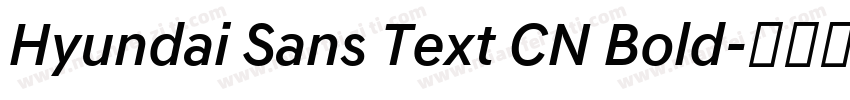 Hyundai Sans Text CN Bold字体转换